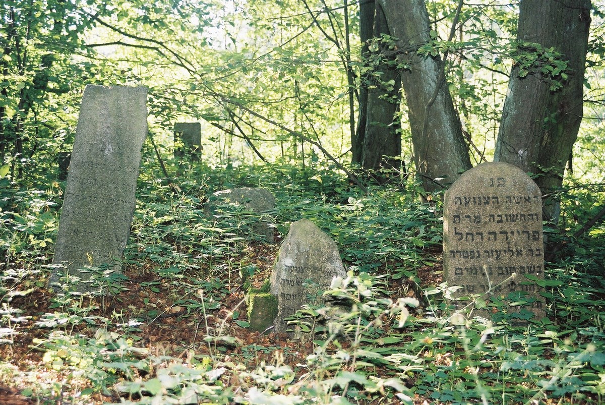 Cmentarz żydowski w Knyszynie 1